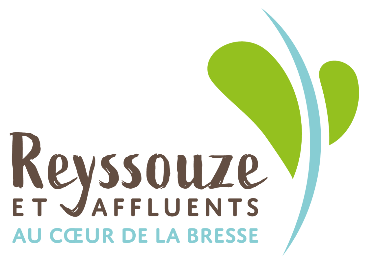 Logo syndicat Reyssouze